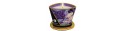 SHUNGA Massage Candle Libido/Exotic Fruits